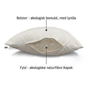 Kapok volwassen kussen, katoenen overtrek - 60 x 63 cm